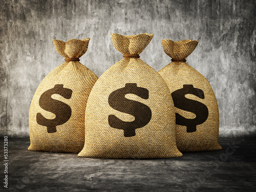 Photo: money bag money bag