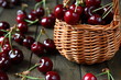 large and juicy ripe cherries in a basket
