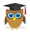 owl - graduation