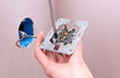 Electrician installing a power socket