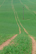 Long Paths