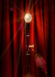 star light performance
