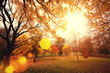 autumn sunlight