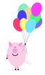 Schweinchen mit Luftballons