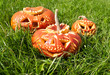 Carved Halloween Pumpkins