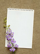 Diary and flowers on canvas background