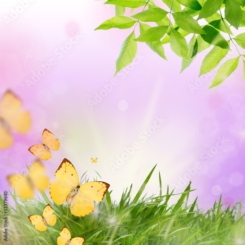 Illustration: natur erwachen natur erwachen