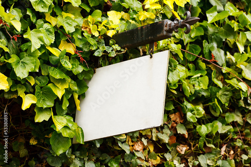 Photo: Blank rustic sign with foliage background Blank rustic sign with foliage background