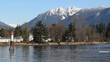 Rowers in Coal Harbor, Vancouver