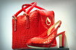 Foto: Red shoe and bag Red shoe and bag