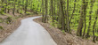 canvas print picture - Waldstrassen Panorama