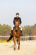equestrian on horseback