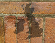 Photo: UK map on bricks UK map on bricks