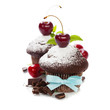 fresh chocolate muffins