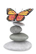 Balanced stones with butterfly