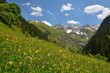 Berge im Frühling