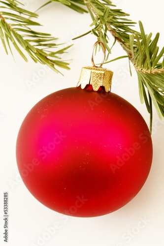 Photo: bauble fir bauble fir