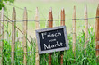 Frisch vom Markt