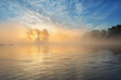 sunrays