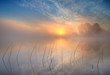 Morning sun