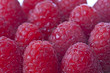 Rasberries in close up