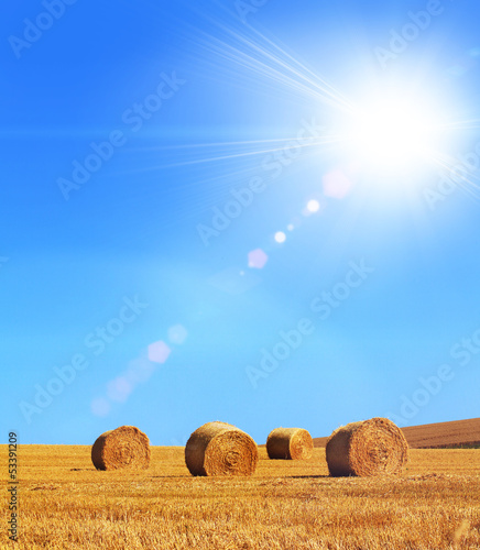 Photo: sunny hay bales sunny hay bales