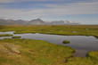 Summer in Iceland