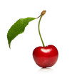 Photo: sweet cherry isolated on a white background sweet cherry isolated on a white background