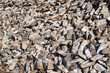 cast iron (pig iron)