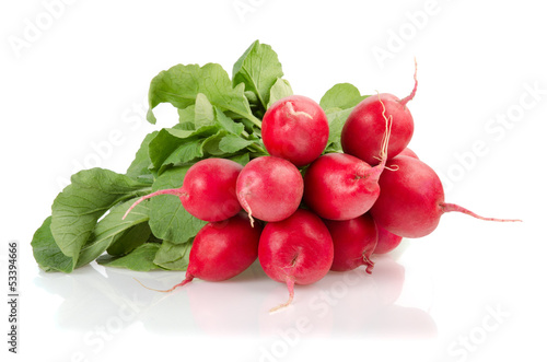 Photo: Fresh Red Radishes with Green Leaves Fresh Red Radishes with Green Leaves