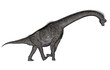 Brachiosaurus dinosaur