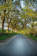 Ziel *** Eichen Allee, Landstrasse