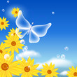 Flowers and butterfly