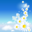 Butterflies and daisy in the sky