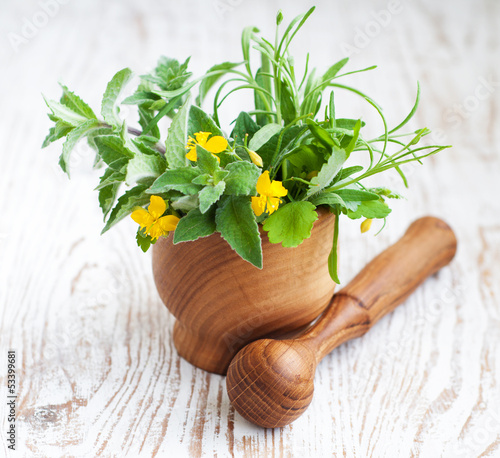 Photo: Mortar with herb Mortar with herb