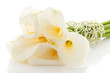 Stylish wedding bouquet