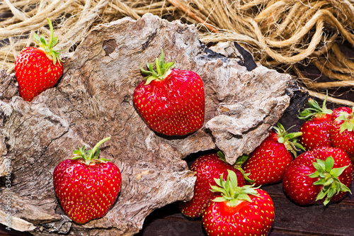 Photo: Erdbeeren auf Holz mit Wurzel und Schnur Erdbeeren auf Holz mit Wurzel und Schnur