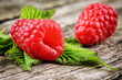 Fresh organic raspberry