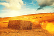 sunshine hay bales