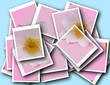 collage,single blossom colorful, modern, abstract set in scene