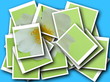 collage,single blossom colorful, modern, abstract set in scene
