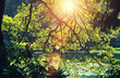 sunlit lake