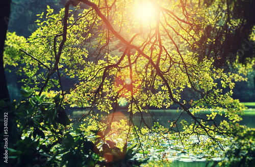 Photo: sunlit lake sunlit lake