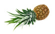 Ripe pineapple on white background