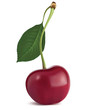 Vector: Cherry with leaf. Vector illustration Cherry with leaf. Vector illustration