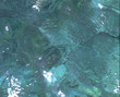水面