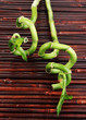 Beautiful bamboo branches on wooden table