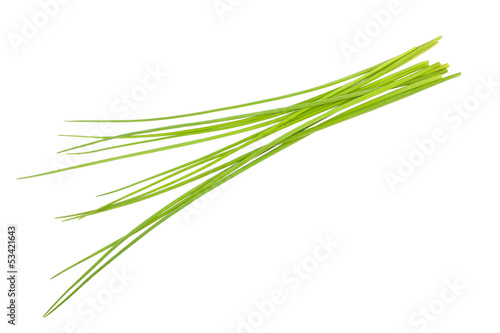 Photo: Chives bunch Chives bunch