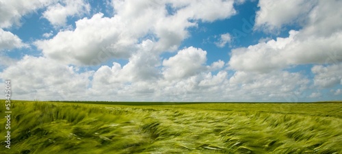 Photo: Champ sous le vent Champ sous le vent