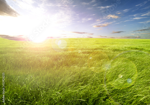 Photo: Puesta de sol y campos de hierba Puesta de sol y campos de hierba